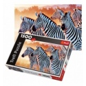 1500 - Zebras [261295]