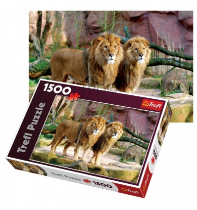 1500 - Lions [260885]