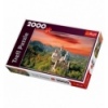 2000 - The Neuschwanstein Castle, Bavaria [270501]