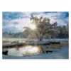 2000 - Dawn at Lake [270440]