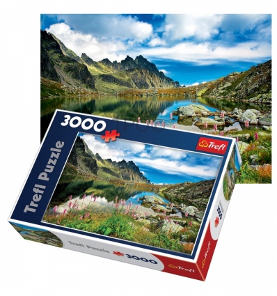 3000 - Starolesnianski Pond, Tatras, Slovakia [330311]