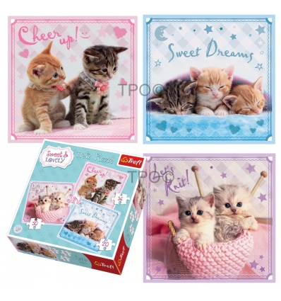 3in1 Sweet&Lovely - Sweet kittens [348095]