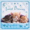 3in1 Sweet&Lovely - Sweet kittens [348095]
