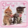 3in1 Sweet&Lovely - Sweet kittens [348095]