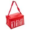 4 Litre Colourful Cooler Bags With Straps [379986]