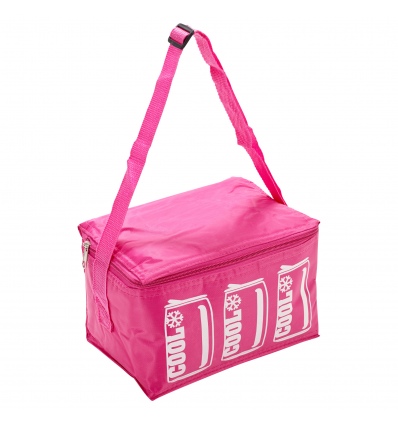 4 Litre Colourful Cooler Bags With Straps [379986]