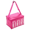 4 Litre Colourful Cooler Bags With Straps [379986]