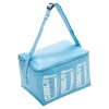 4 Litre Colourful Cooler Bags With Straps [379986]