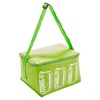 4 Litre Colourful Cooler Bags With Straps [379986]