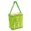 6 Litre Colourful Cooler Bags With Straps [151773]