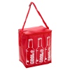 6 Litre Colourful Cooler Bags With Straps [151773]