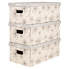 Ordinett Clicbox 3Pc Cardboard Storage Boxes [313915]