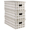 Ordinett Clicbox 3Pc Cardboard Storage Boxes [313915]