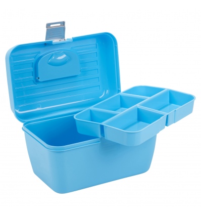 Storage Case With Removable Tray [368263]