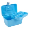 Storage Case With Removable Tray [368263]