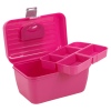 Storage Case With Removable Tray [368263]