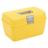 Storage Case With Removable Tray [368263]