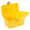 Storage Case With Removable Tray [368263]