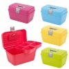 Storage Case With Removable Tray [368263]