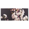 B&W Blossom Triptych Canvas [133425/pc003342]