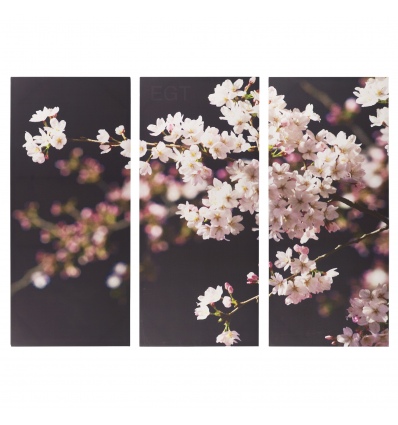 B&W Blossom Triptych Canvas [133425/pc003342]