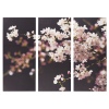 B&W Blossom Triptych Canvas [133425/pc003342]
