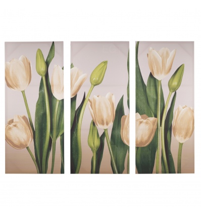 Dreamland Tulips Triptych Canvas [131544/pc003154]