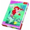 24 Maxi - Underwater beauty salon [142488]