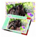 260 - We love horses [132137]