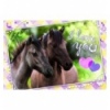260 - We love horses [132137]