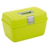 Storage Case With Removable Tray [368263]