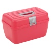 Storage Case With Removable Tray [368263]