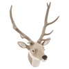 Wall Hanging Deer Heads