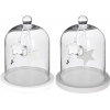 Glass Dome Bell Jars With Deco Stars