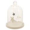 Glass Dome Bell Jars With Deco Stars