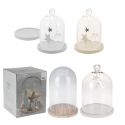 Glass Dome Bell Jars With Deco Stars