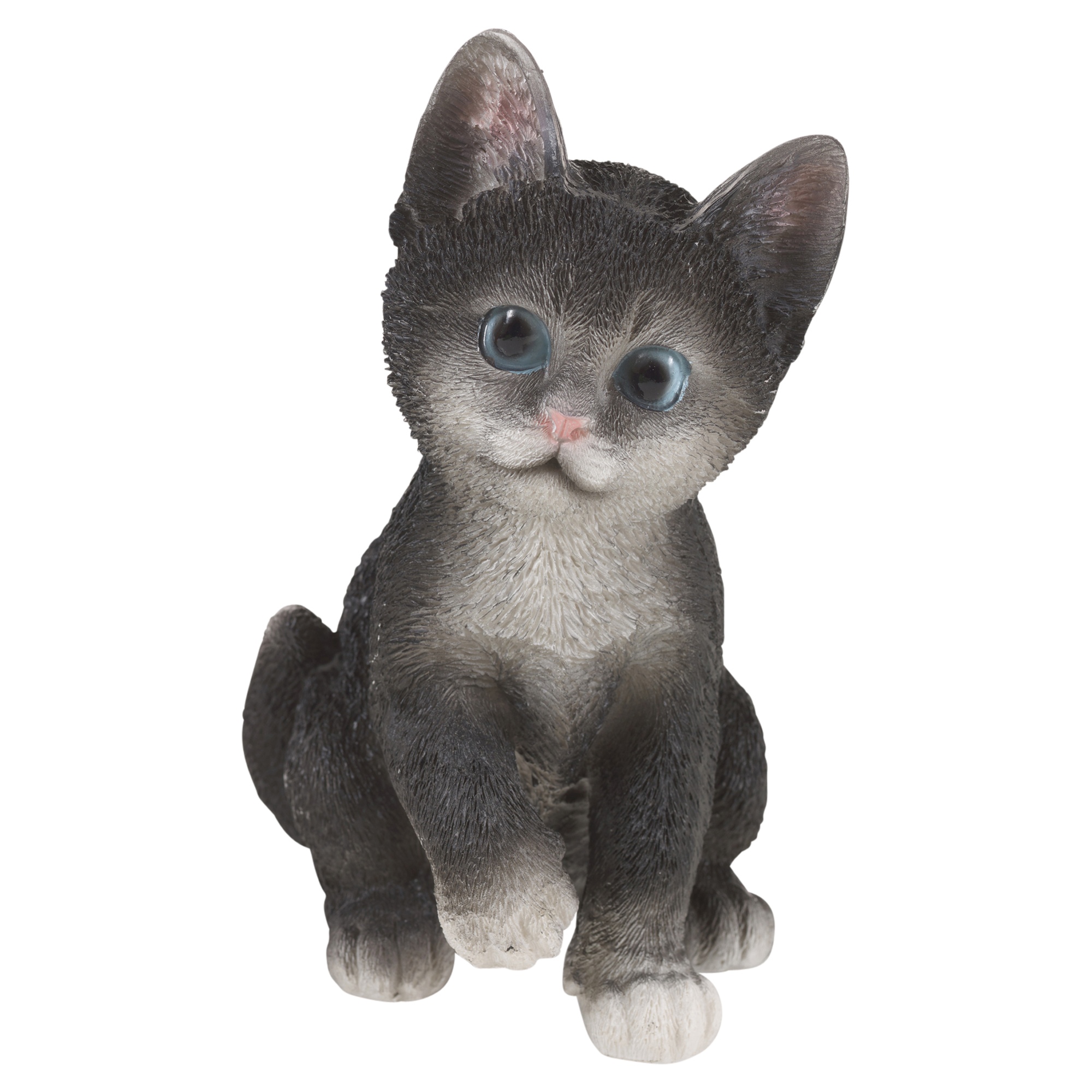cat garden toys