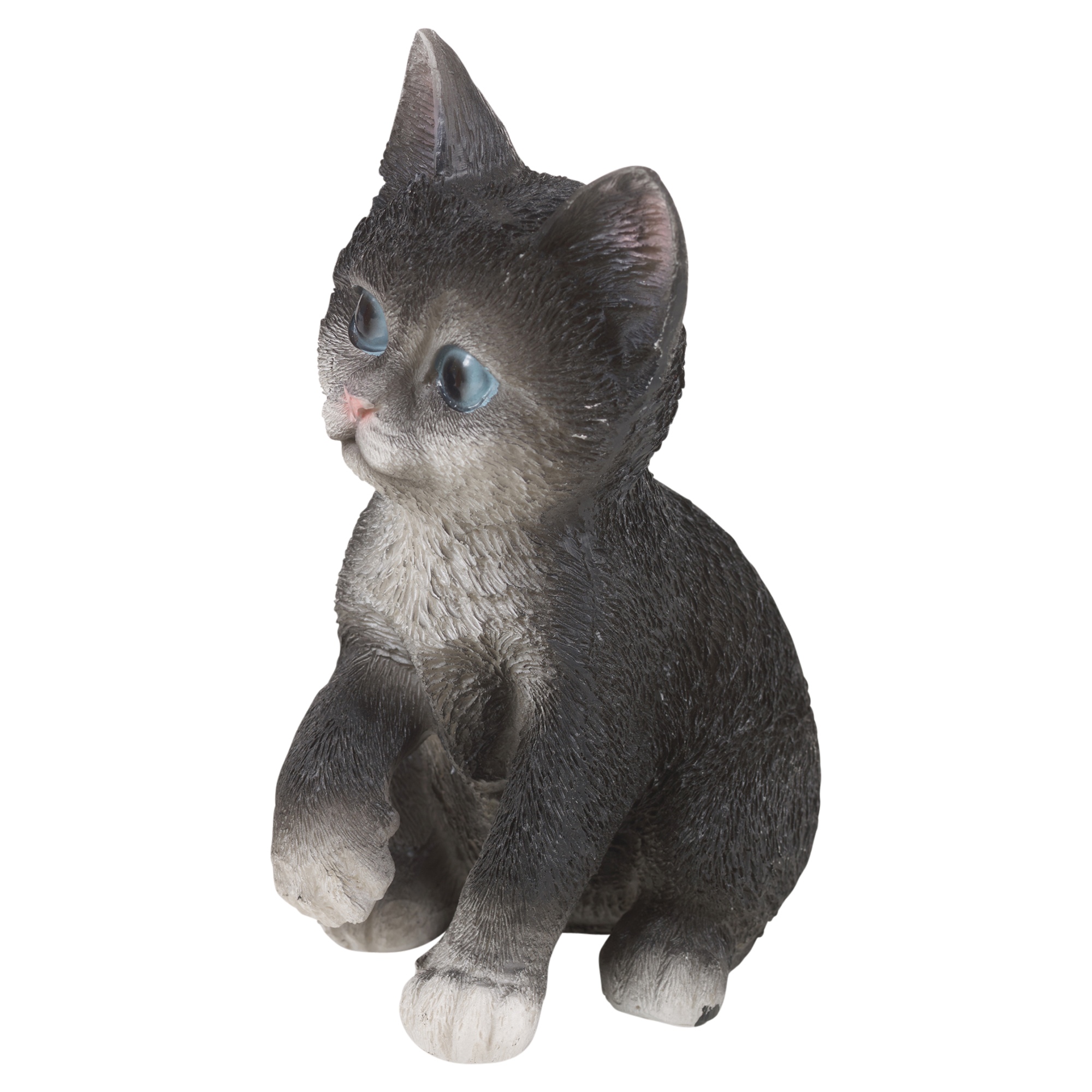 cat garden toys
