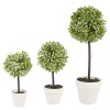 Decorative Artificial Ball Plant