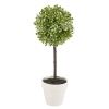 Decorative Artificial Ball Plant