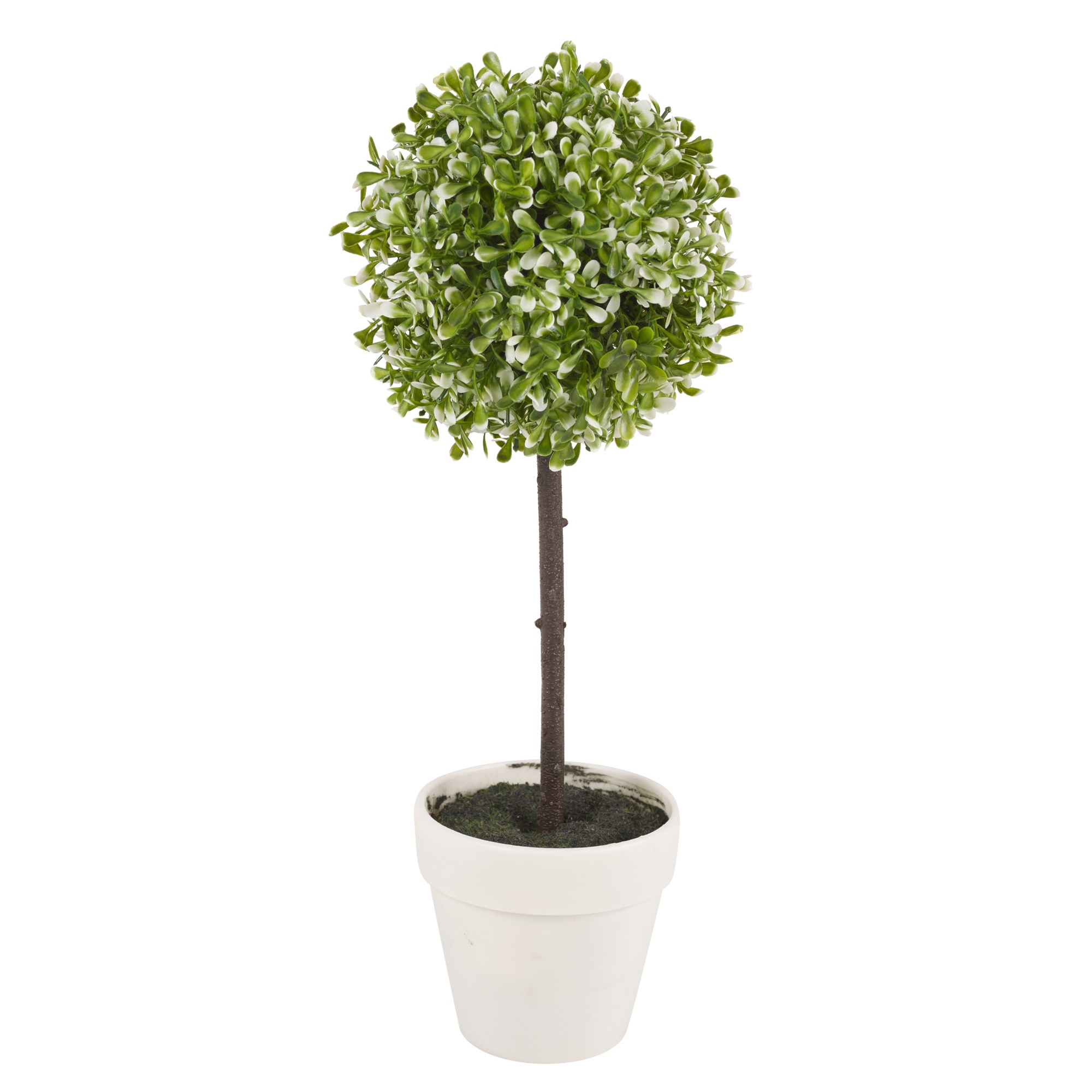decorative tree pots