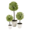 Decorative Artificial Ball Plant