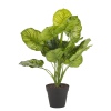 45cm Plant in Round Black Flowerpot [132526]