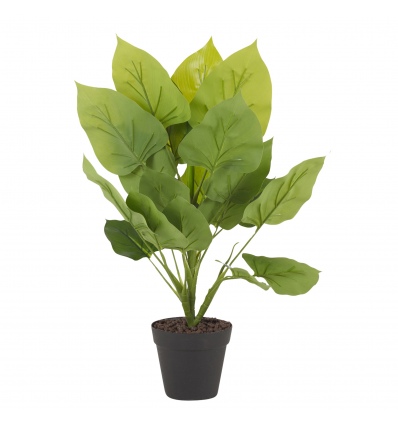 45cm Plant in Round Black Flowerpot [132526]