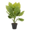 45cm Plant in Round Black Flowerpot [132526]