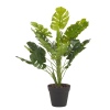 45cm Plant in Round Black Flowerpot [132526]