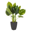 65cm Large Plant in Black Square Flowerpot [132564]