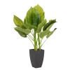 65cm Large Plant in Black Square Flowerpot [132564]