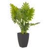 65cm Large Plant in Black Square Flowerpot [132564]