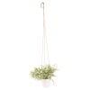 Artificial Hanging Herb Plants in White Flowerpot [119183]